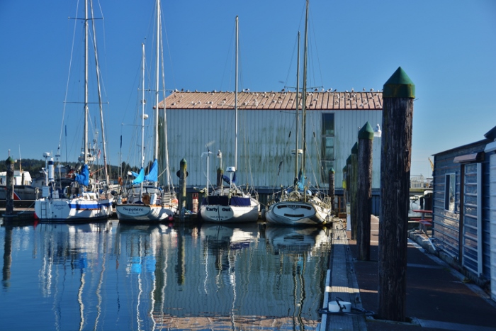 Charleston fishermen's wharf area